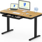 Comhar Electric Standing Desk with Drawer Desktop & Adjustable Frame W/Usb Charge Ports (Bamboo Texture/Black, Wood)