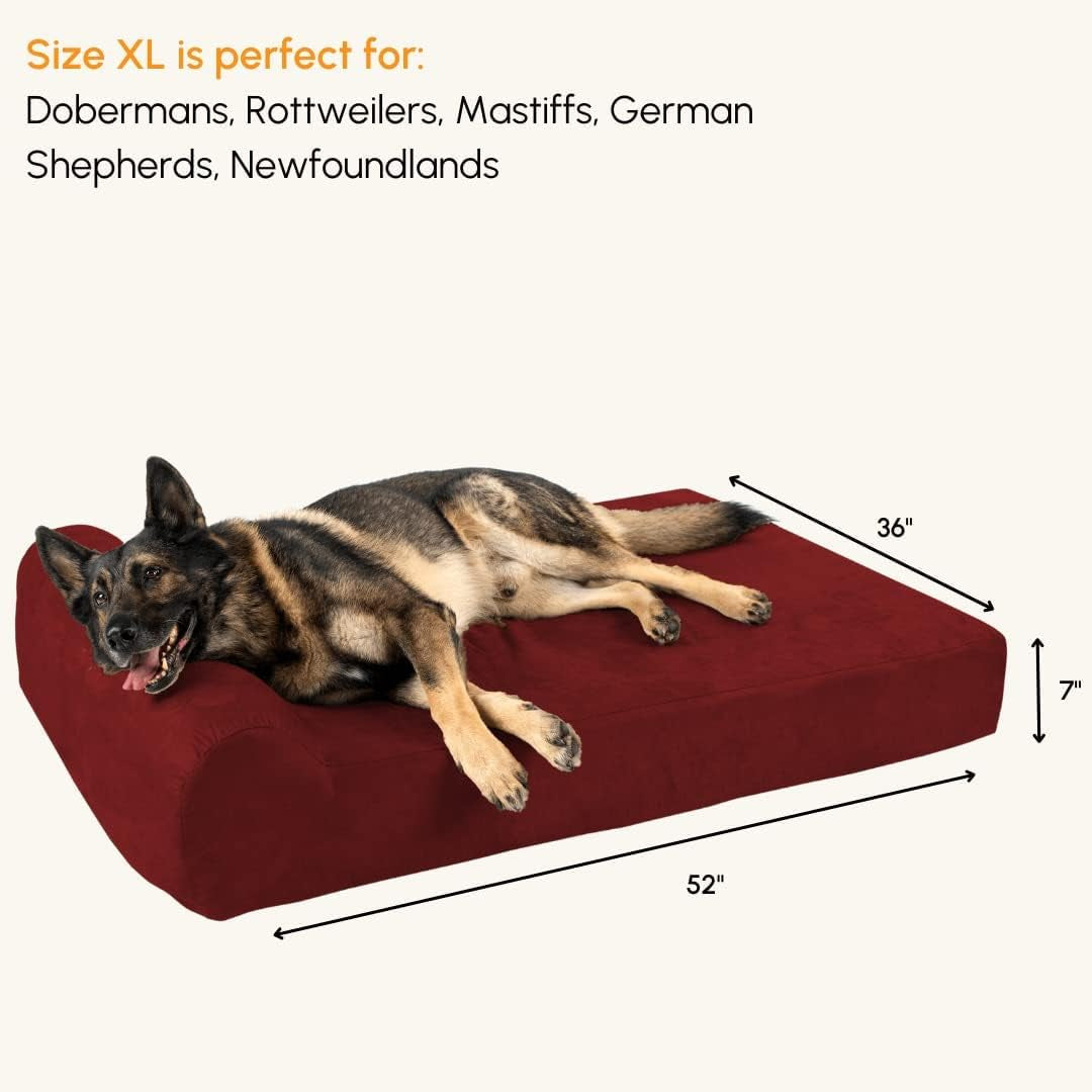 7" Pillow Top Orthopedic Dog Bed - XL Size - 52 X 36 X 7 - Burgundy - for Large and Extra Large Breed Dogs (Headrest Edition)